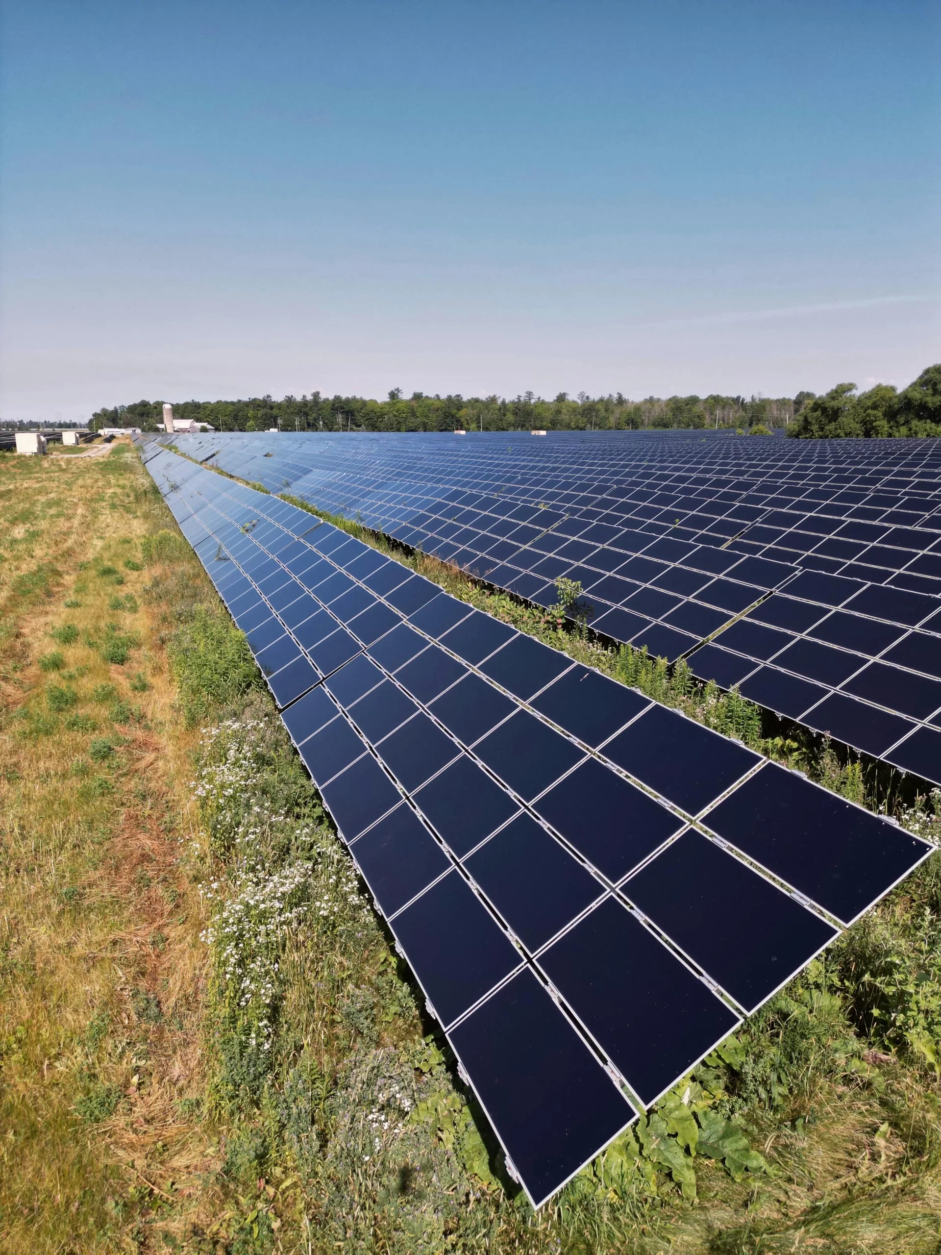 Solar Farm Solar Panels